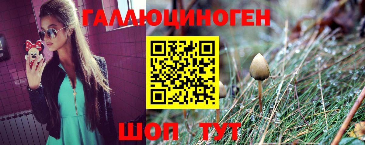 Псилоцибиновые грибы Psilocybe  Псилоцибиновые грибы ЛСД  Вход с VPN  Мурино 