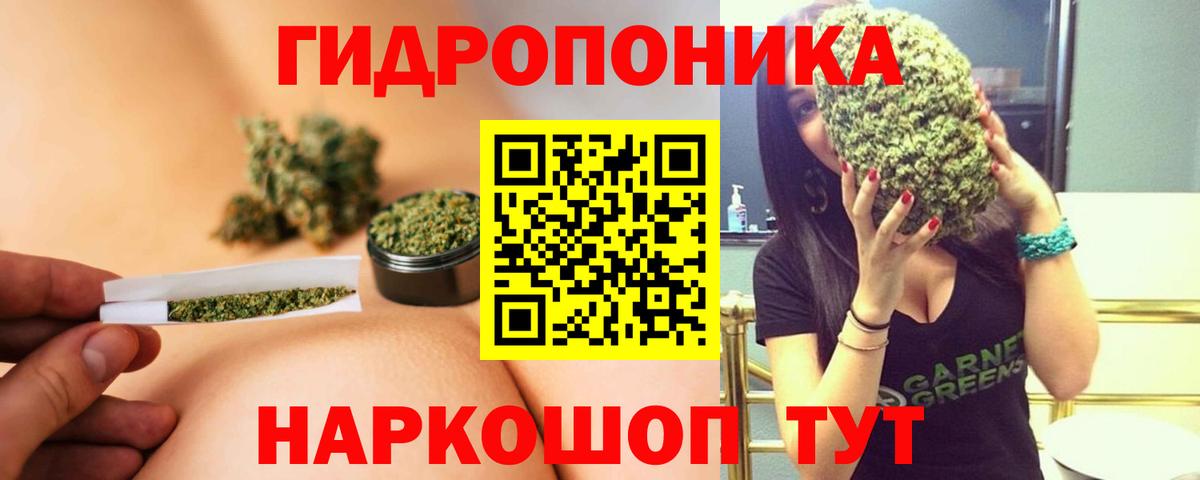 Шишки марихуана план Мурино